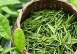 5060全讯白菜网-5060全讯白菜网大全-138全讯白菜官方网站